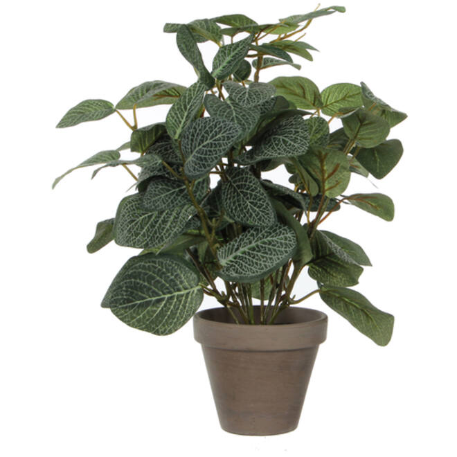 Kunstplant Mica Pilea in pot Ø11,5cm 35x25cm