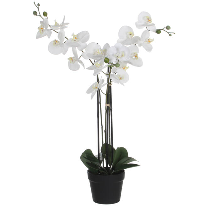 Kunstplant Mica Phalaenopsis orchideeën wit in plastic pot 79x51cm