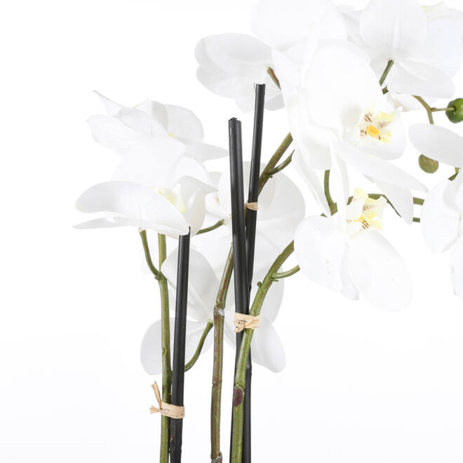 Kunstplant Mica Phalaenopsis orchideeën wit in plastic pot 79x51cm