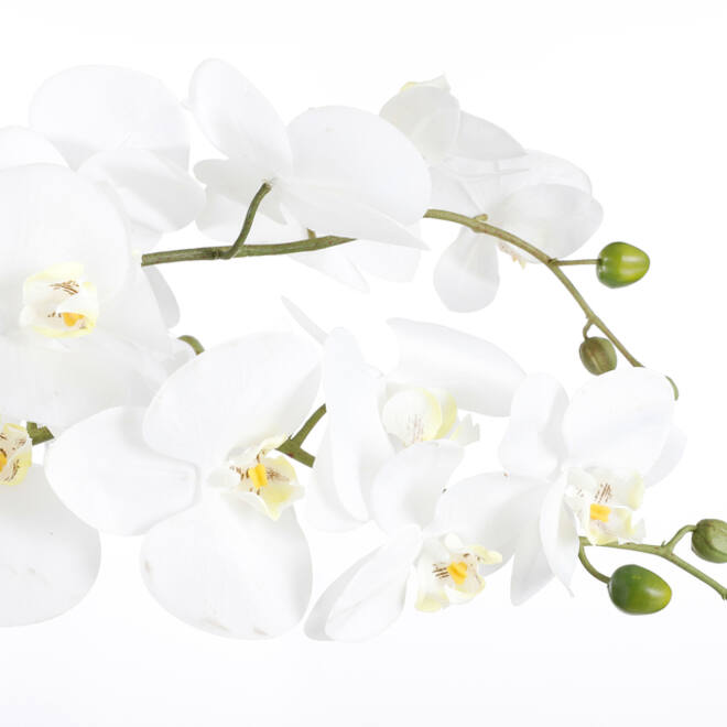 Kunstplant Mica Phalaenopsis orchideeën wit in plastic pot 79x51cm