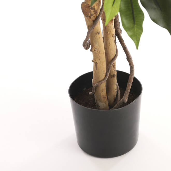 Kunstplant Mica Ficus in plastic pot 180x100cm