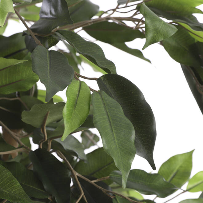 Kunstplant Mica Ficus in plastic pot 180x100cm