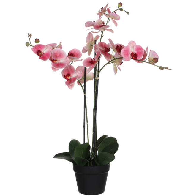 Kunstplant Mica Phalaenopsis orchideeën roze in plastic pot 79x51cm