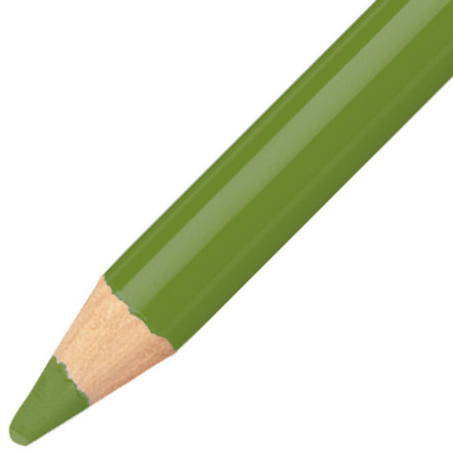 Kleurpotloden STABILO CarbOthello kalkpastel loofgroen