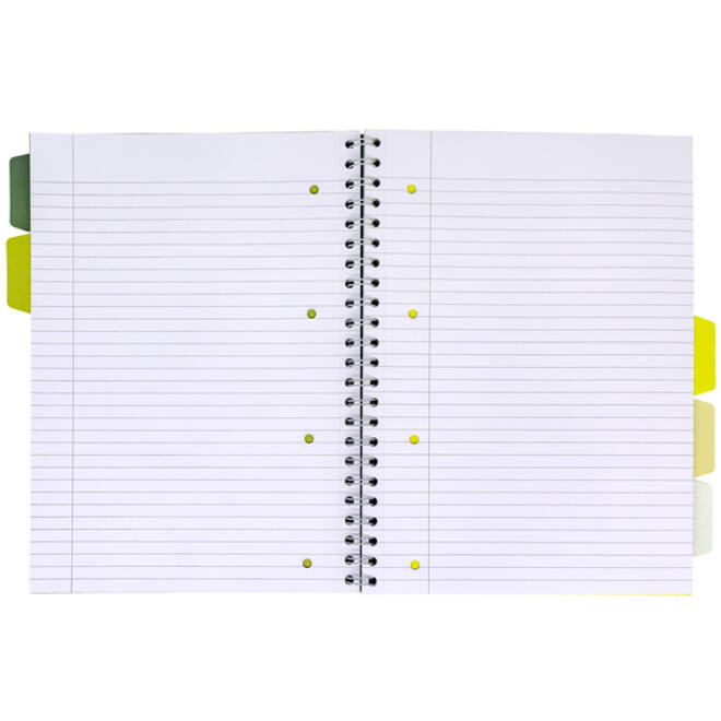 Projectboek Pukka Recycled A4 lijn 5-tabs 4-gaats 200 pagina's 80gr groen