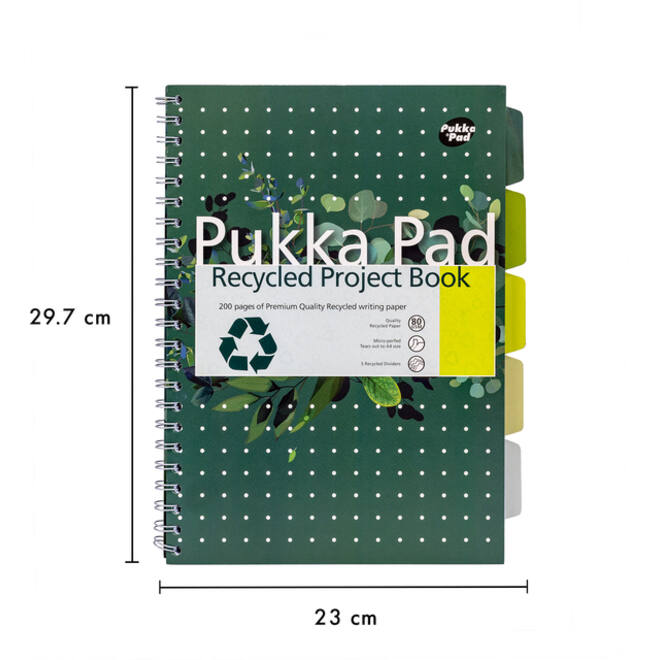 Projectboek Pukka Recycled A4 lijn 5-tabs 4-gaats 200 pagina's 80gr groen
