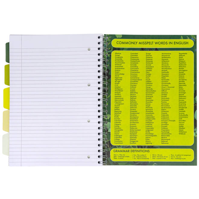 Projectboek Pukka Recycled A4 lijn 5-tabs 4-gaats 200 pagina's 80gr groen