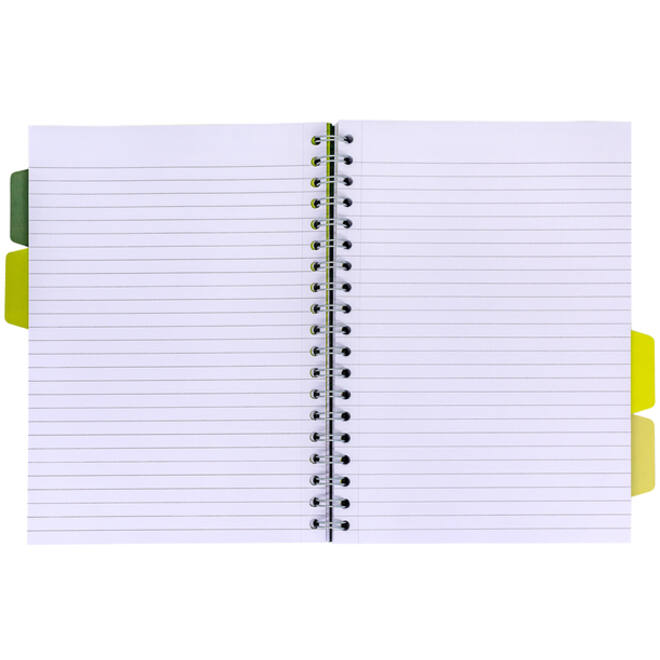 Projectboek Pukka Recycled B5 lijn 4-tabs 200 pagina's 80gr groen