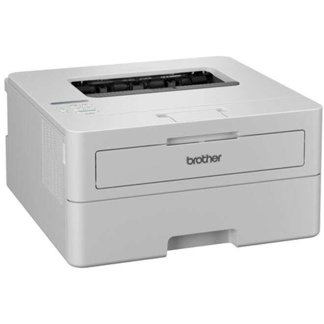 Printer Laser Brother HL-L2865DW