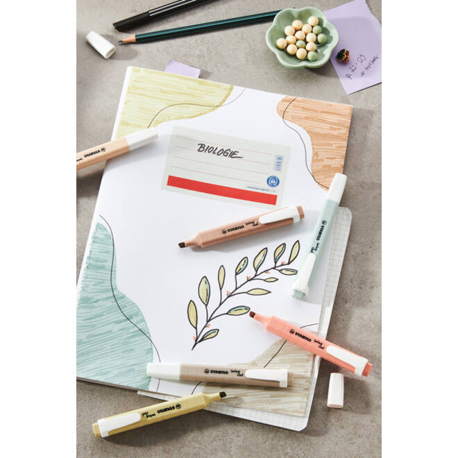Markeerstift STABILO Swing cool nature colors deskset 18 stuks