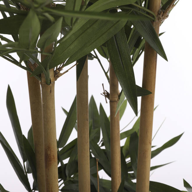 Kunstplant Mica Bamboe in plastic pot 150x75cm
