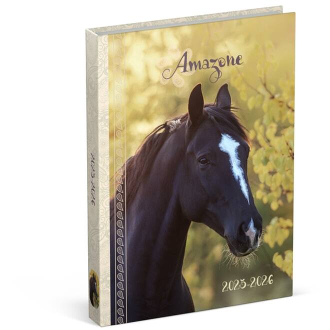 Schoolagenda 25-26 Lannoo Horses 1dag/1pagina geel