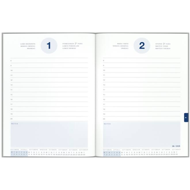 Schoolagenda 25-26 Lannoo Horses 1dag/1pagina geel