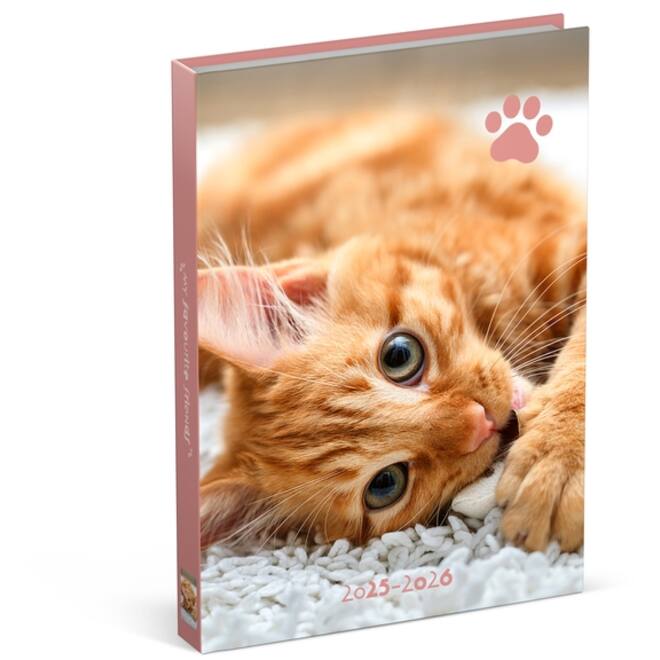 Schoolagenda 25-26 Lannoo Cats 1dag/1pagina roze