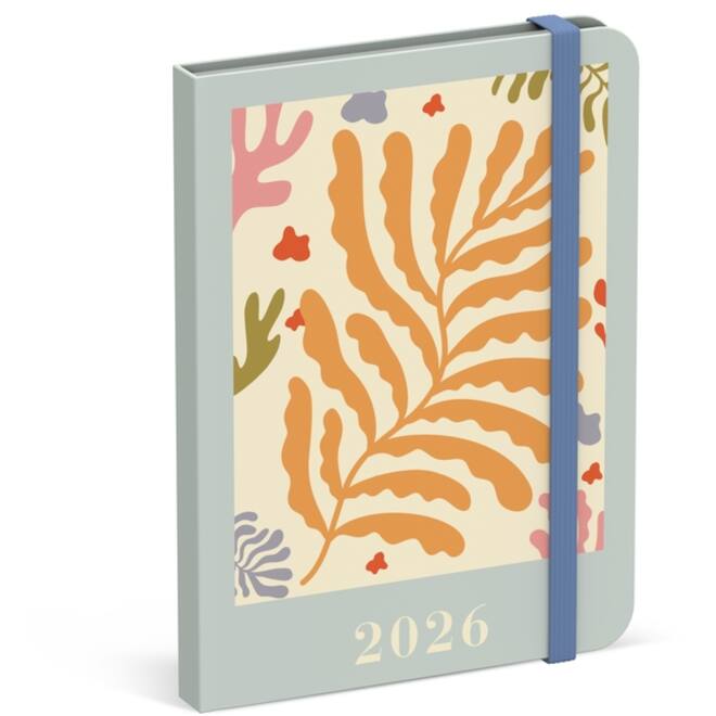 Agenda 2026 Lannoo 110x150 Papier Découpé 7dagen/2pagina's blauw