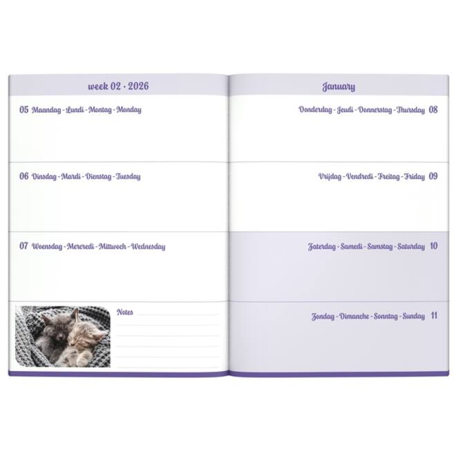 Agenda 2026 Lannoo 110x150 My favourite friends 7dagen/2pagina's cats