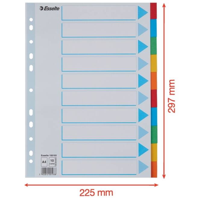 Tabbladen Esselte Standaard A4 10-delig karton 11-rings met voorblad assorti