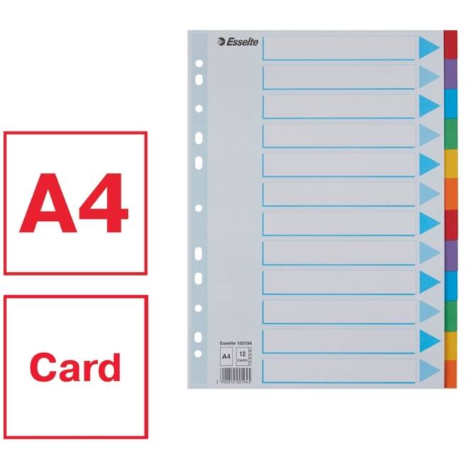 Tabbladen Esselte Standaard A4 12-delig karton 11-rings met voorblad assorti