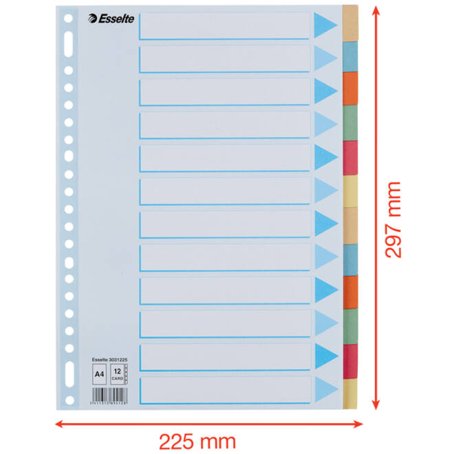 Tabbladen Esselte Premium A4 12-delig karton 23-rings assorti