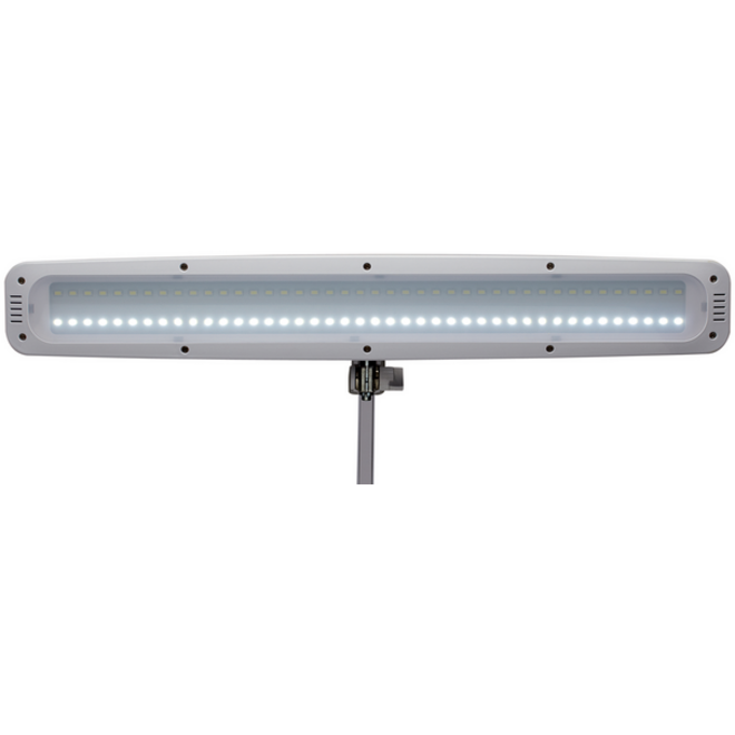 Werkpleklamp MAUL Work LED tafelklem dimbaar wit