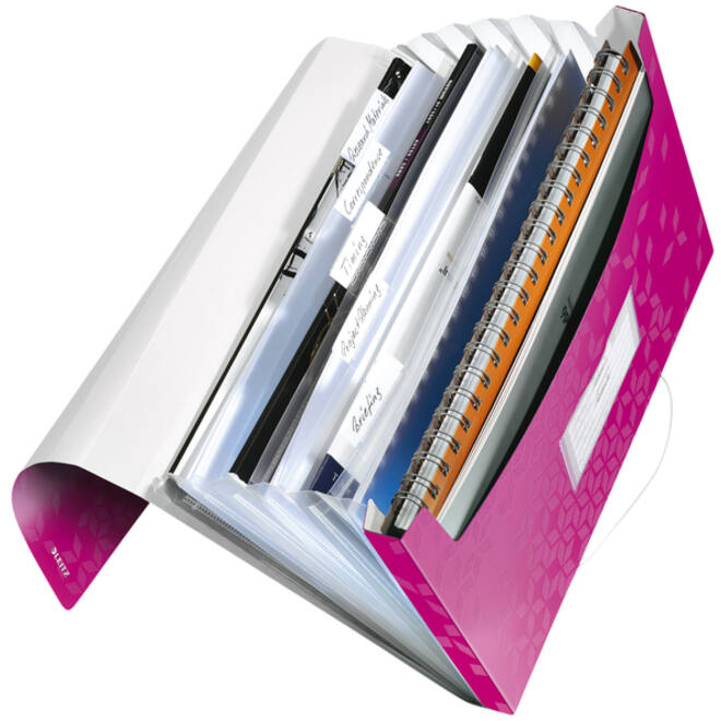 Projectmap Leitz WOW voor A4 6 vaks PP roze