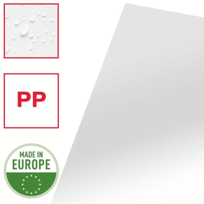 Insteekmap L-model Esselte standaard copy safe 0.11mm PP A4 glashelder 100 stuks