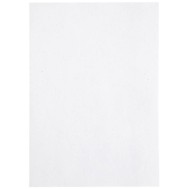 Kopieerpapier Papicolor A4 220gr 6vel kraft wit