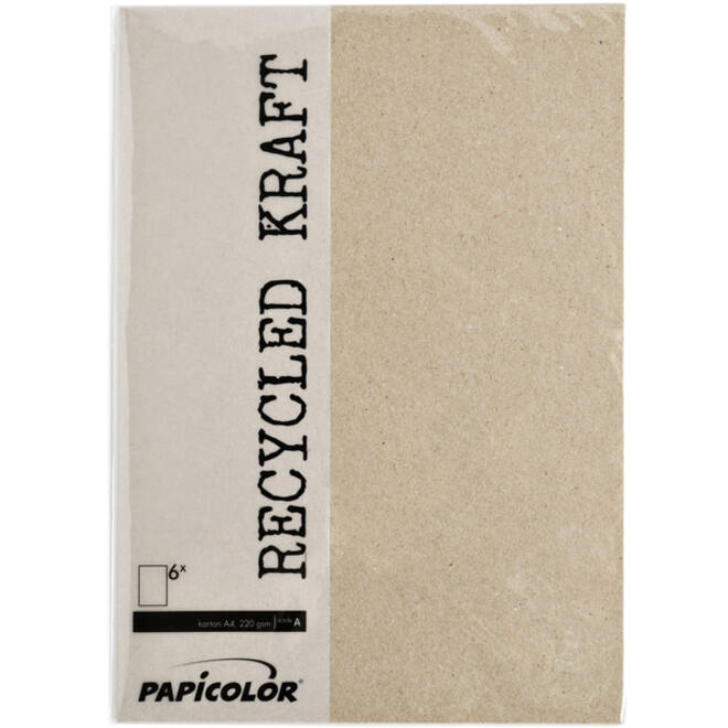 Kopieerpapier Papicolor A4 100gr 12vel kraft grijs