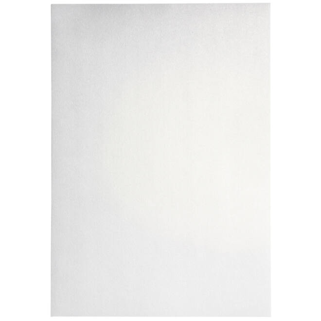 Kopieerpapier Papicolor A4 300gr 3vel metallic parelwit