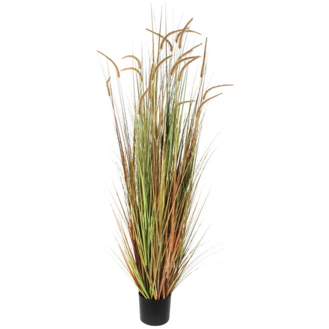 Kunst Pluimgras Dogtail 180cm groen