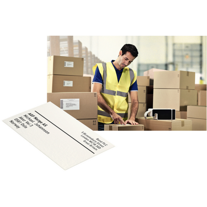 Etiket Leitz icon labelprint papier 59mmx102mm wit 225stuks