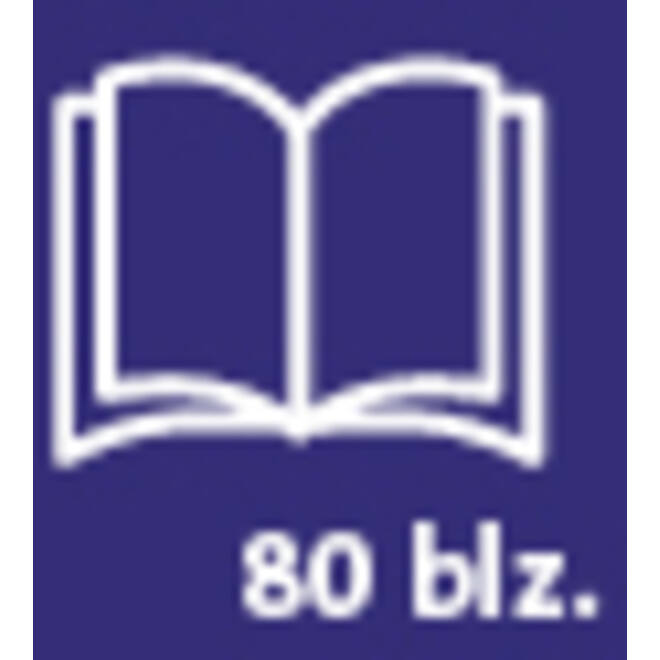 Schrift Qbasic A4 ruit 5mm 80blz 70gr assorti