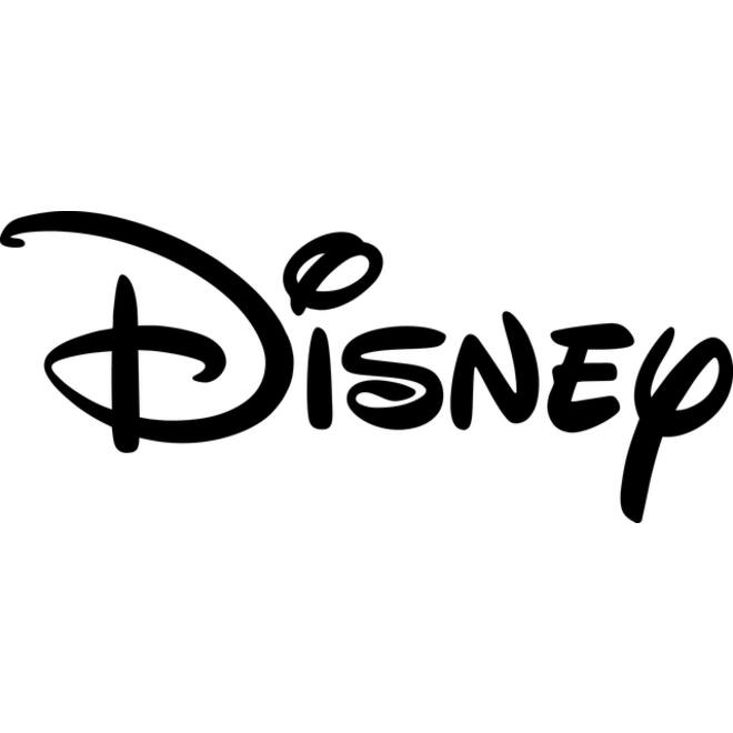 Vriendenboek Disney Prinses