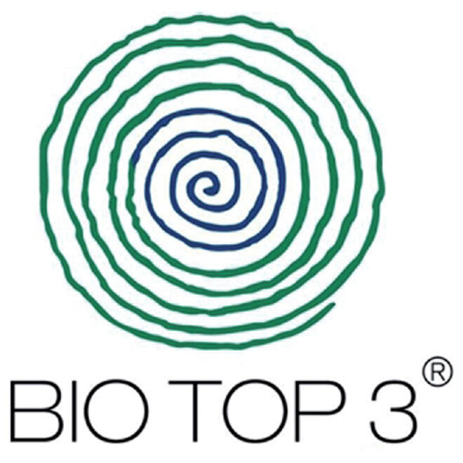 Kopieerpapier BioTop 3 A3 80gr naturel 500vel