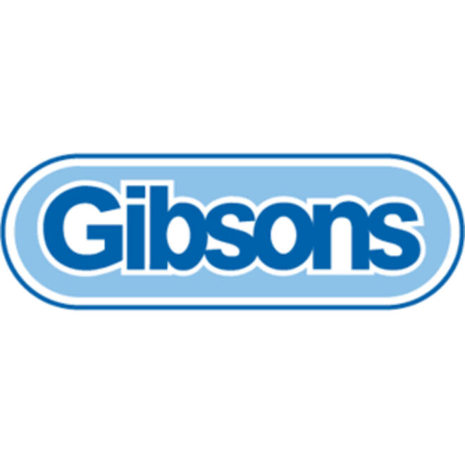 Puzzel Gibsons Puzzle Festival 1000 stukjes