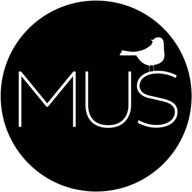 Kleurenwiel MUS