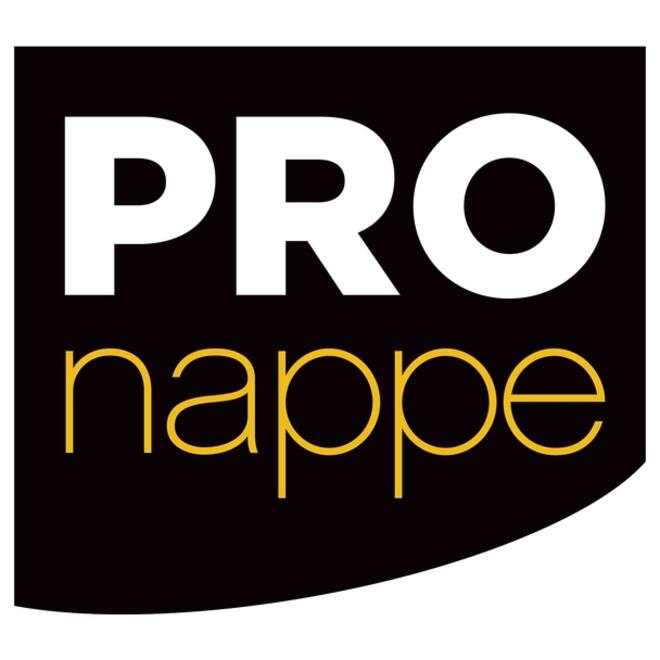 Servet Pronappe 1/4 vouw 2-laags 380x380mm 40 vel wit