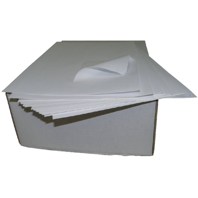 Etiket IEZZY PostNL 105x148.5mm 2000stuks