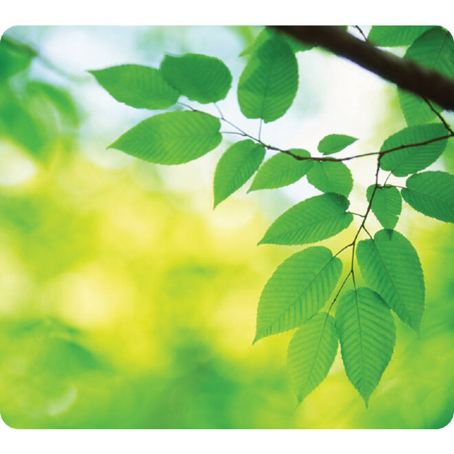 Muismat Fellowes natuur collectie bladeren