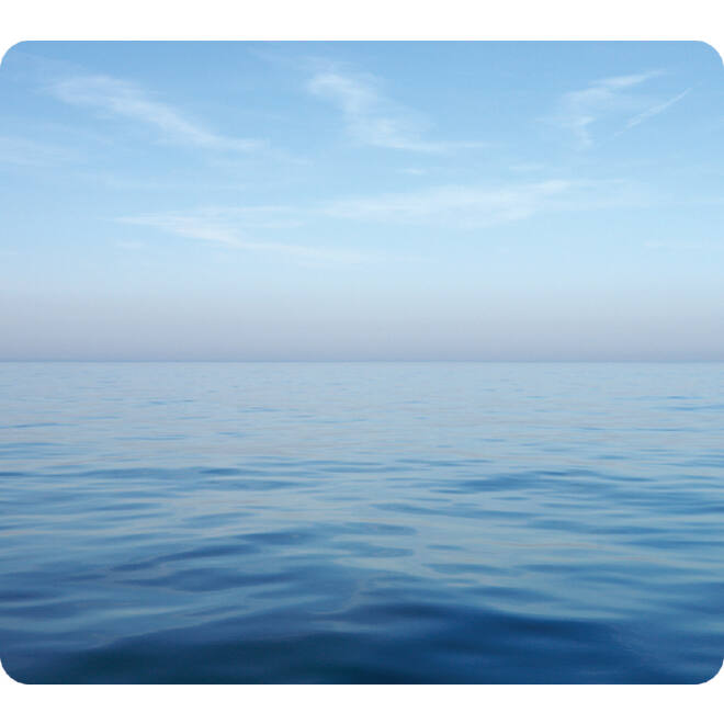 Muismat Fellowes natuur collectie blauwe oceaan