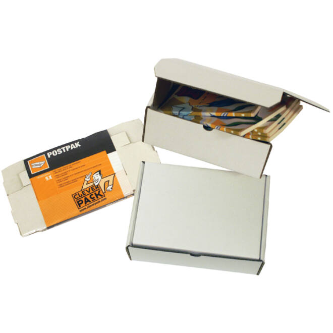 Postpakket CleverPack golfkarton 220x160x90mm wit pak à 5 stuks