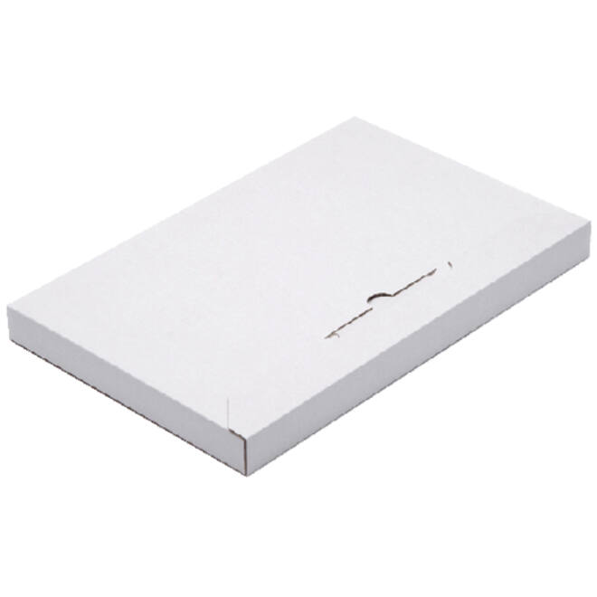 Brievenbusbox CleverPack A5 230x160x26mm karton wit pak à 5 stuks