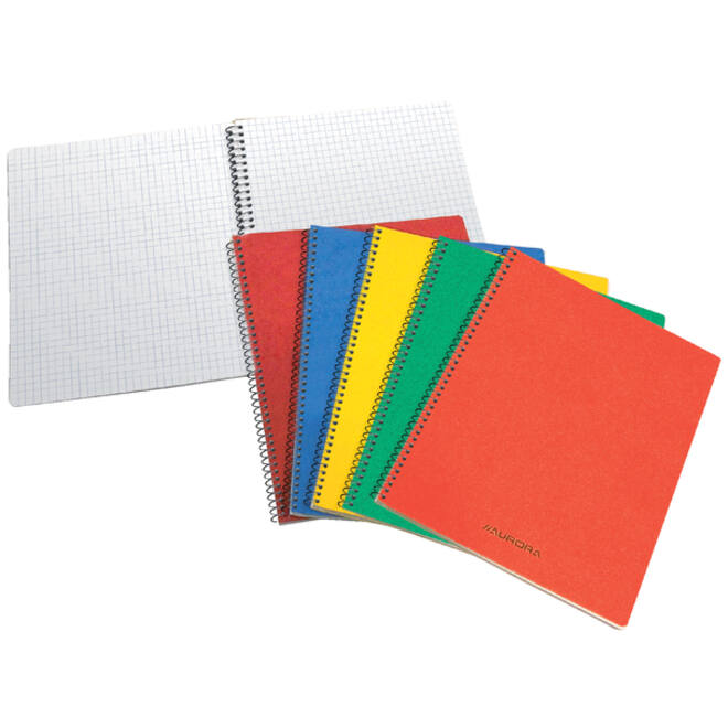 Schrift Aurora 80x135mm ruit 5x5mm 200 pagina's 60gr assorti