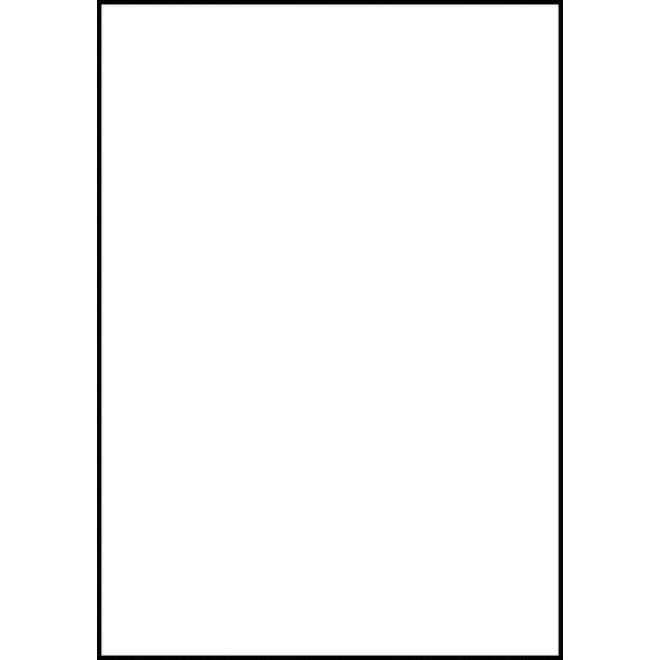 Etiket Avery Zweckform 6119 210x297mm A4 wit 25stuks
