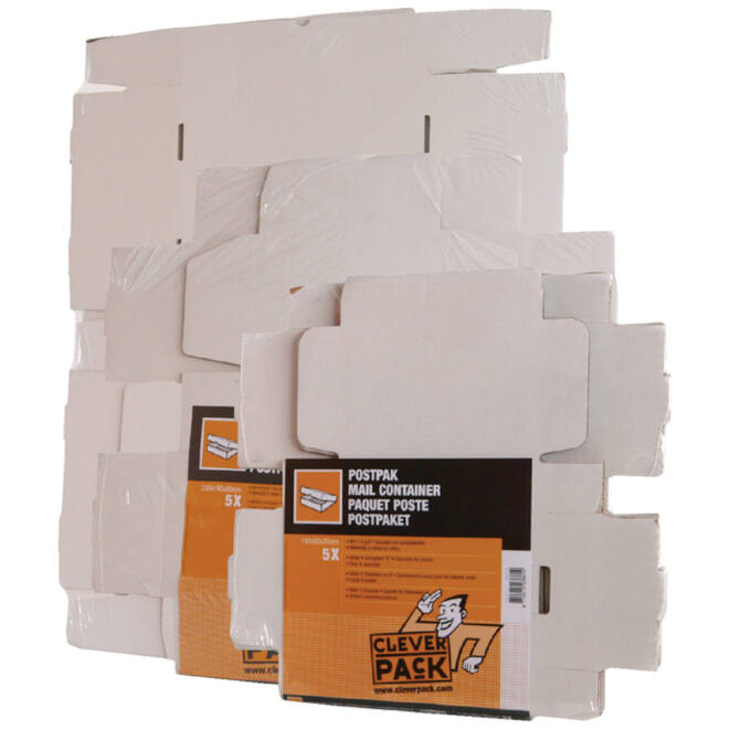 Postpakket CleverPack golfkarton 220x160x90mm wit pak à 5 stuks