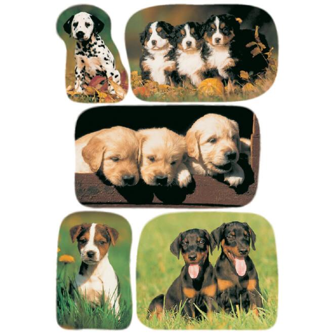 Etiket HERMA 3528 honden