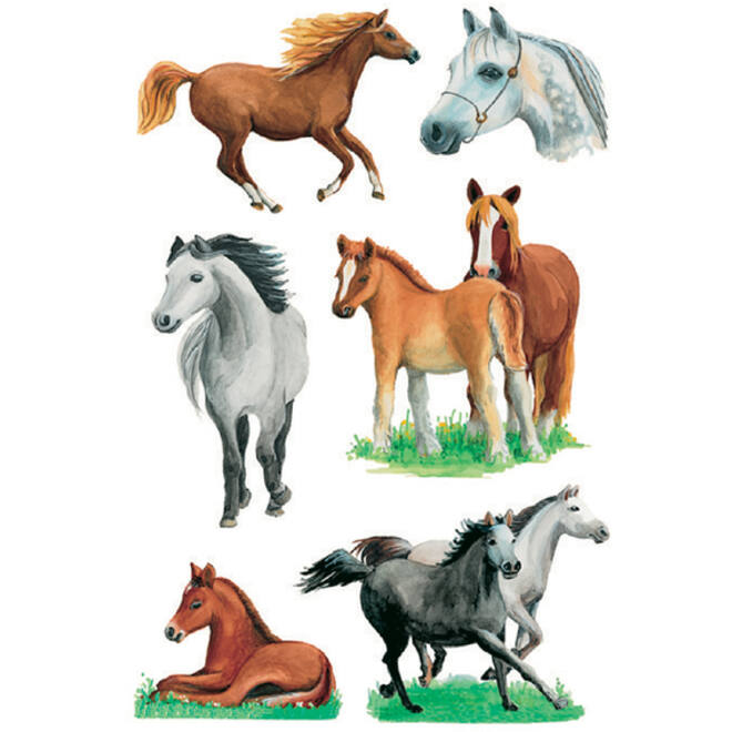 Etiket HERMA 3553 paarden rassen