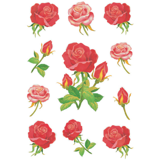 Etiket HERMA 3581 rozen