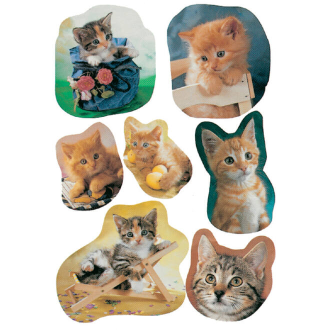 Etiket HERMA 5747 katten