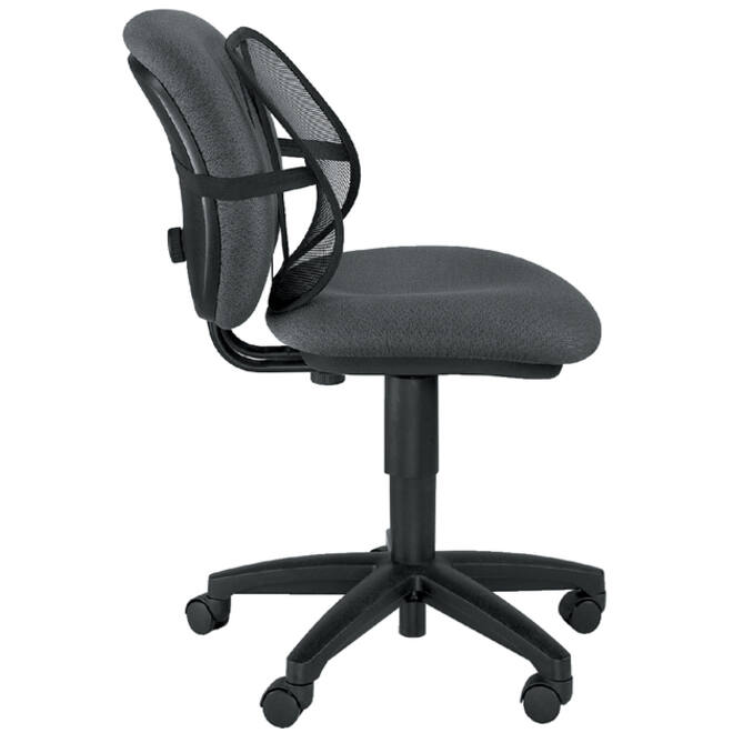 Rugsteun Fellowes Office Suites gaas